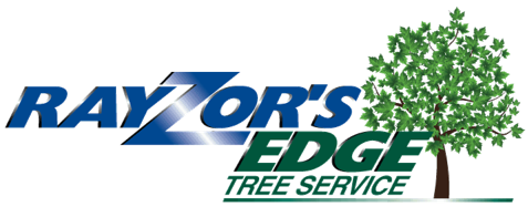 Rayzor's Edge Tree Service